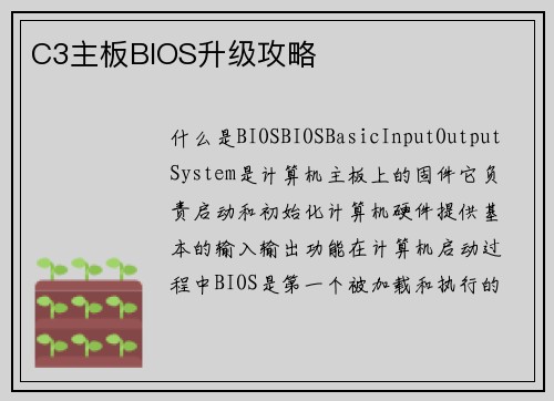 C3主板BIOS升级攻略